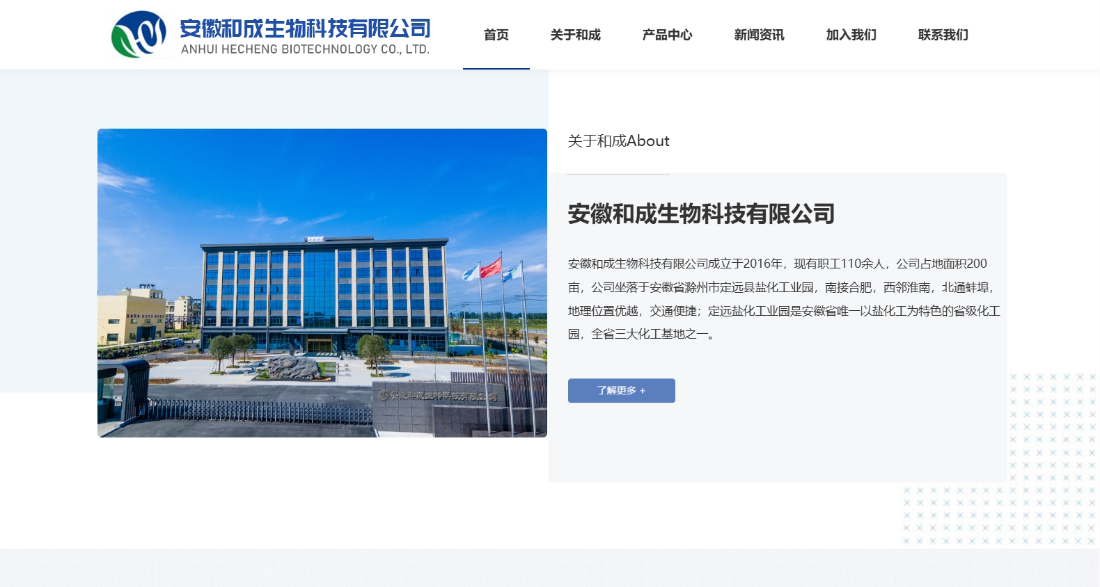 安徽和成生物科技有限公司
