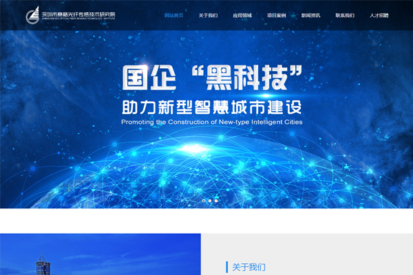深圳市赛格光纤传感技术研究院